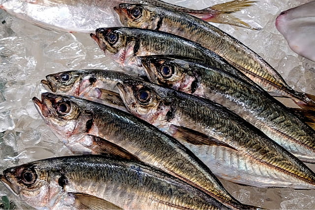 道の駅 おながわ